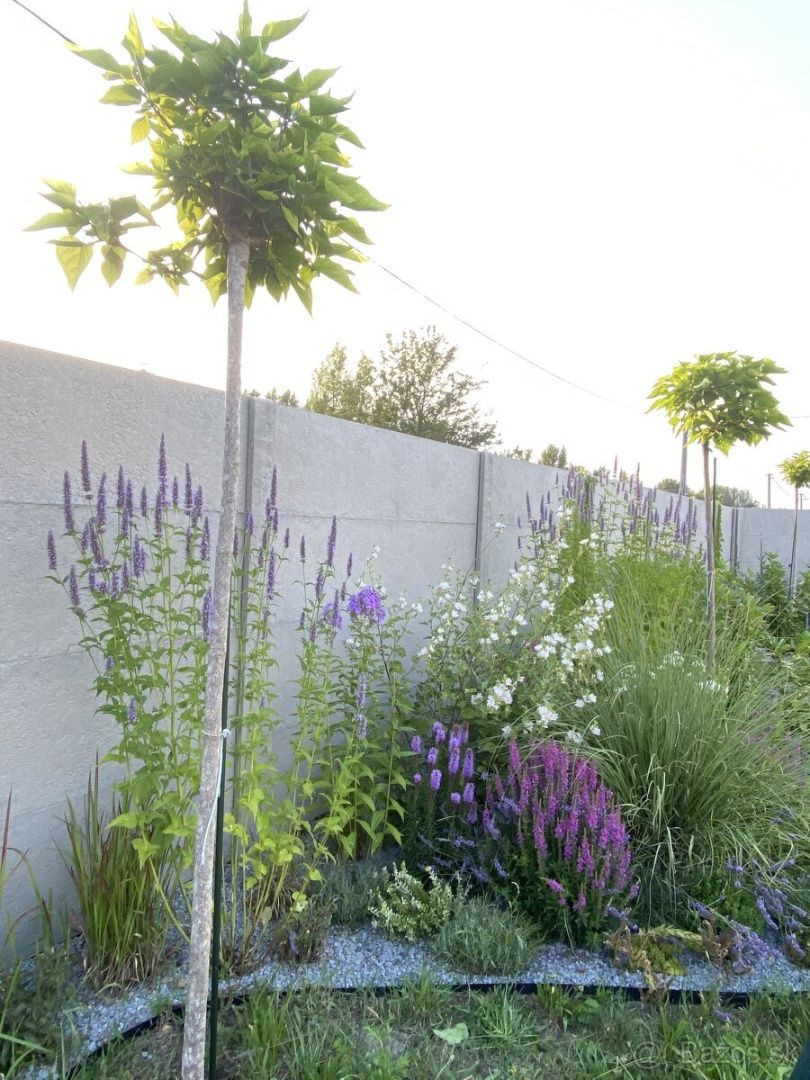 Predaj stavebného pozemku Gabčíkovo