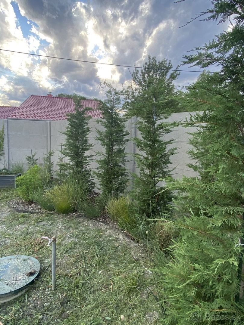 Predaj stavebného pozemku Gabčíkovo