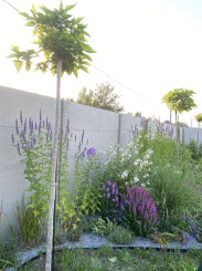 Predaj stavebného pozemku Gabčíkovo