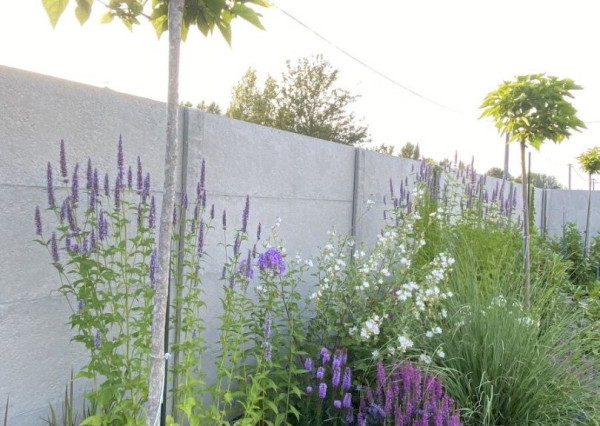 Predaj stavebného pozemku Gabčíkovo