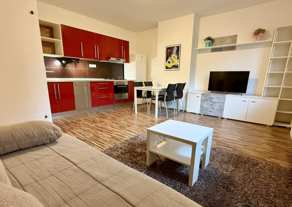 Prenájom príjemný 2izb byt BA 1 pri Horskom parku