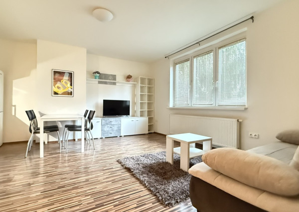 Prenájom príjemný 2izb byt BA 1 pri Horskom parku