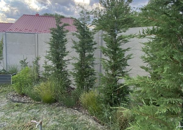 Predaj stavebného pozemku Gabčíkovo